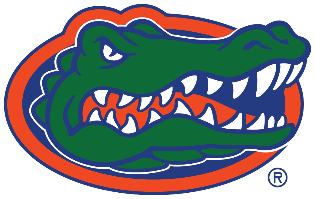 Florida Gators 2013-Pres Primary Logo iron on transfers for fabric